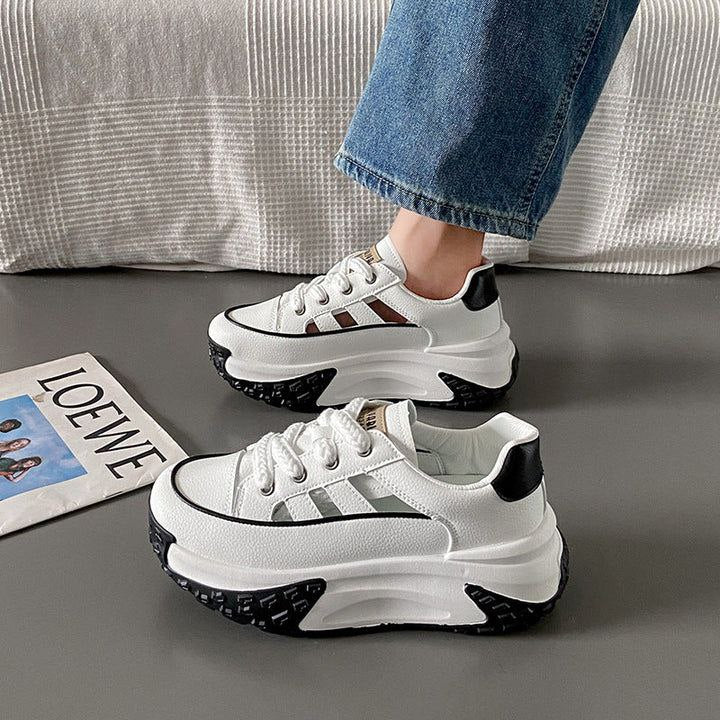 Baskets | Alpevro